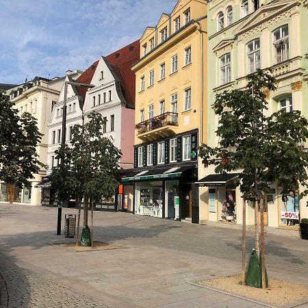 Apartman Orchidej U Vridla Карлови Вари Екстериор снимка