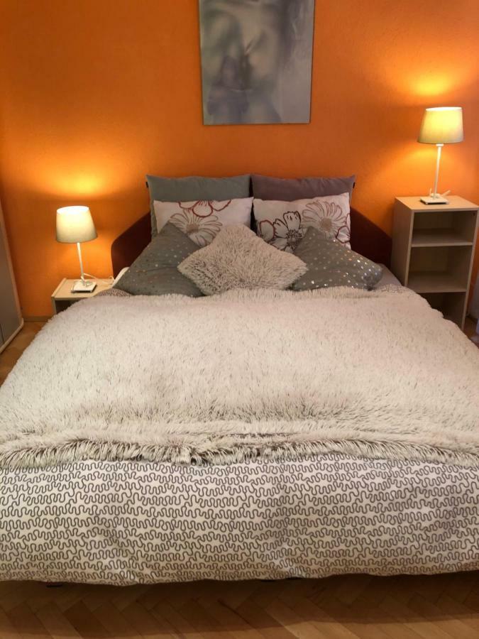 Apartman Orchidej U Vridla Карлови Вари Екстериор снимка