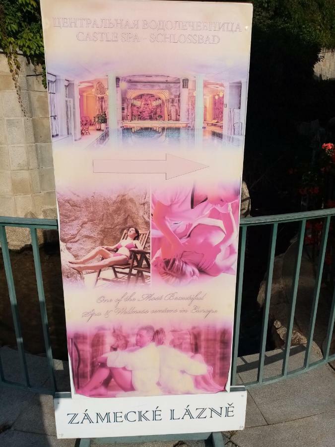 Apartman Orchidej U Vridla Карлови Вари Екстериор снимка